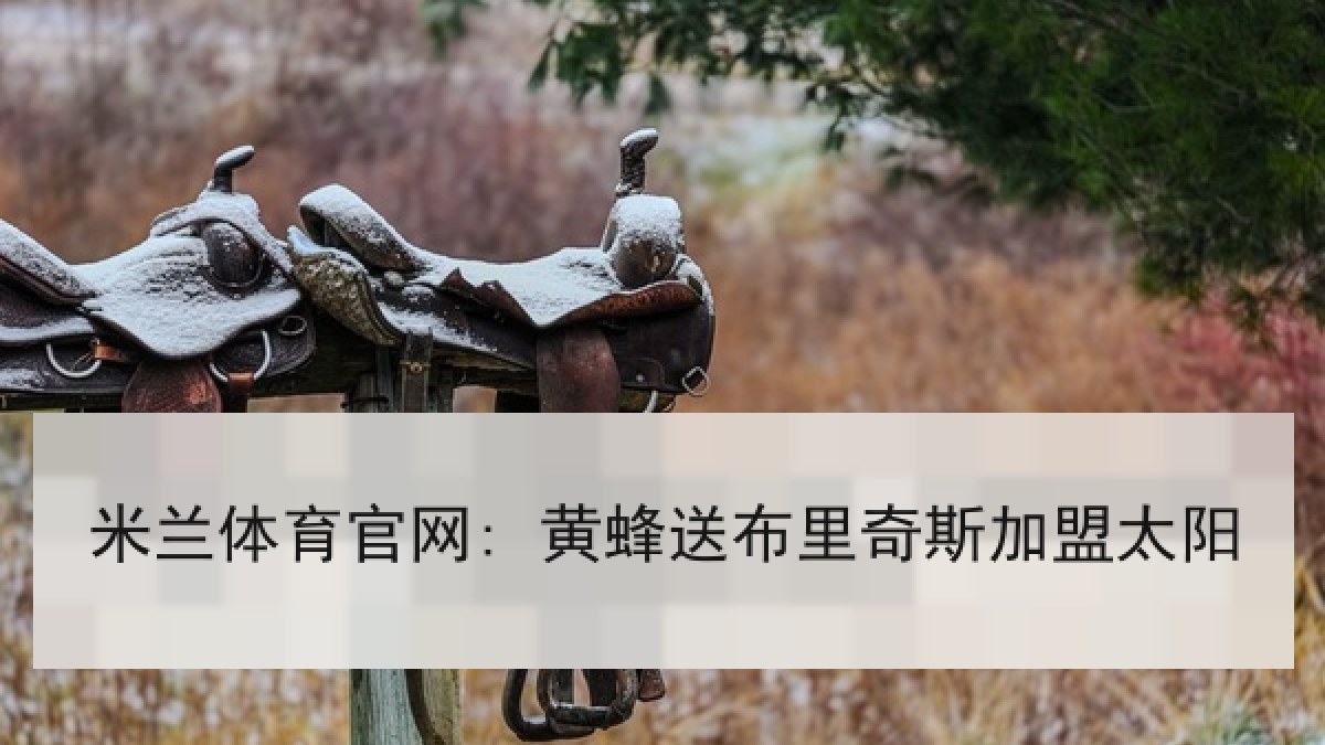 米兰体育官网: 黄蜂送布里奇斯加盟太阳 米兰体育官网: 黄蜂送布里奇斯加盟太阳